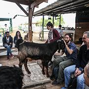 לוחמי הצדק שישחררו את בעלי החיים